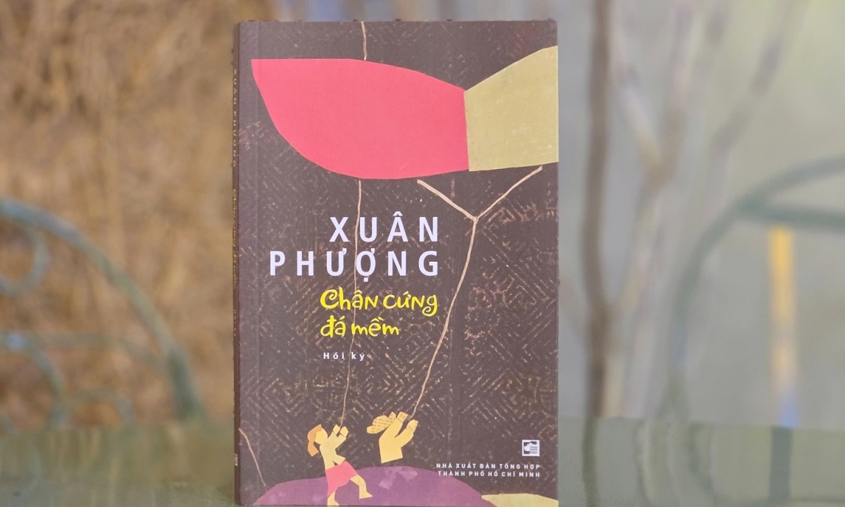 Link vào nhà cái NOHU90
