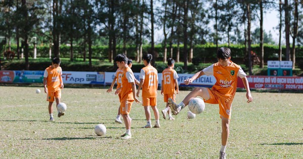 Nhà cái cá cược số 1